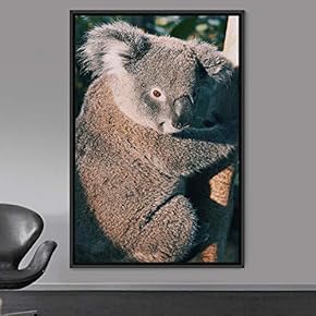 signwin Framed Canvas Wall Art Koala Animals Expressive...