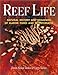 Reef Life: Natural History and Behaviors of Marine Fishes and Invertebrates by Denise Nielsen Tackett, Larry Tackett