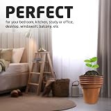 ACCURATE Garden Pot Set of 5 5 Inch Terracotta Plastic Planters view 5