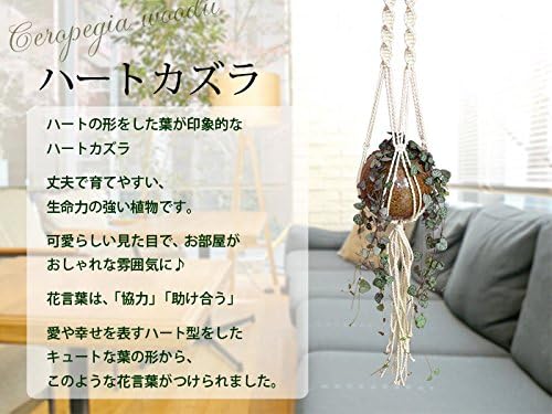 Amazon 花由 マクラメハンギングwithグリーン ハートカズラ 観葉植物 観葉植物 オンライン通販