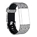 RedTaro Bands Compatible with Fitbit Charge 2, Replacement Accessory Wristbands Silver Swirls