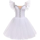 AFAVOM Ballet Leotards for Women Ballerina Performance Swan Lake Costumes Embroidery Tulle Camisole Skirted Leotard Dancewear