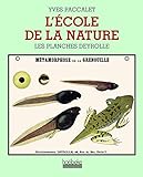 L'Ecole de la nature by 