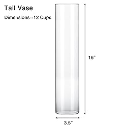 Fixwal Tall Glass Cylinder Vases, 16" H x