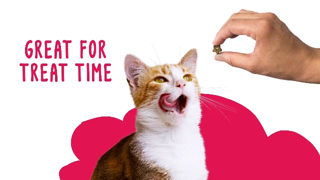 6 Purina+Friskies+Party+Mix+Beachside