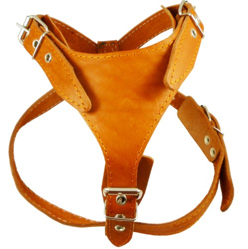 Orange Genuine Leather Dog Harness, Medium. 25"-30" Chest, 1" Wide Adjustable Straps