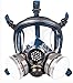 Organic Vapor Respirator full face gas mask with Double Activated Carbon Air Filter (Black)