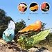 Athoinsu 6 Pack Sequin Artificial Christmas Robin Birds Craft with Clips Tree Decorations Spring Xmas Party Supplies (Style 3)