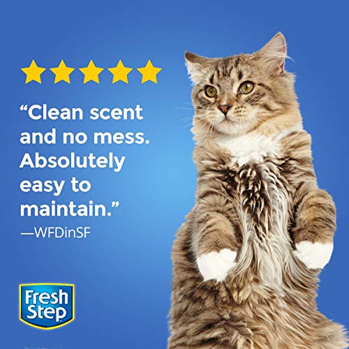 fresh step mediterranean lavender