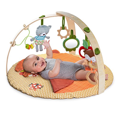bright starts simply fox & friends activity gym