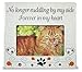 Cat Memorial Picture Frame - No Longer Cuddling By My Side Furever in My Heart - Loss of a Pet Photo Frame - In Memory of a Cat - 7 1/4