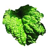 Park Seed Lettuce Leaf Basil Seeds, Includes 100
