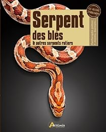 Serpent des blés & autres serpents ratiers