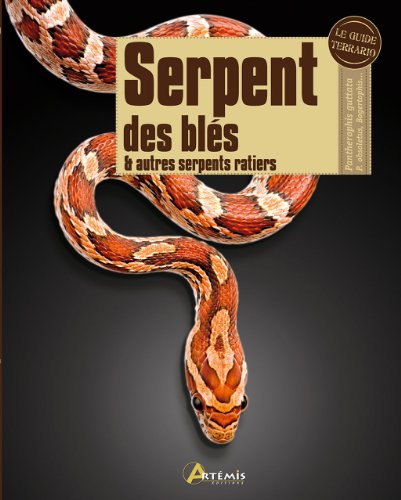 Serpent des blés & autres serpents ratiers