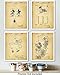 Mickey Mouse Cartoon Patent Wall Art Prints - set of Four (8x10) Unframed - wall art decor for music lovers