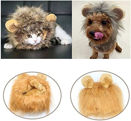 HWAYO Lion Mane Wig Costume for Cat, Funny Dog Lion Wig for Small Sized Dogs Poodle, Lion Mane for Halloween Christmas Pet Festival Party Fancy Hair Cat Clothes Costume with Ears,Golden Yellow