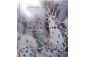Cactus and Succulents: A Care Manual