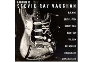 A Tribute To Stevie Ray Vaughan