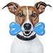 Nasus Pet Dog Cooling Chew Toy, Puppy Dog Summer Intelligence Puzzle Thirst Quench Hydro Freezable Fun Rubber Play Training Toy with Bones Shape Design for Teething and Small, Medium Pet Chewers