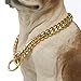 Aiyidi Strong 18K Gold Plated Dog Chain Collar Stainless Steel Width 10mm,12mm,15mm,18mm Cuban Link Choke Collar for Dog's Training,Daily Use (12mm,14inch)