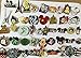 Disney Pins Trading Lot of 50 w/ No Duplicates Lapel Collector Pins Disneyland pins