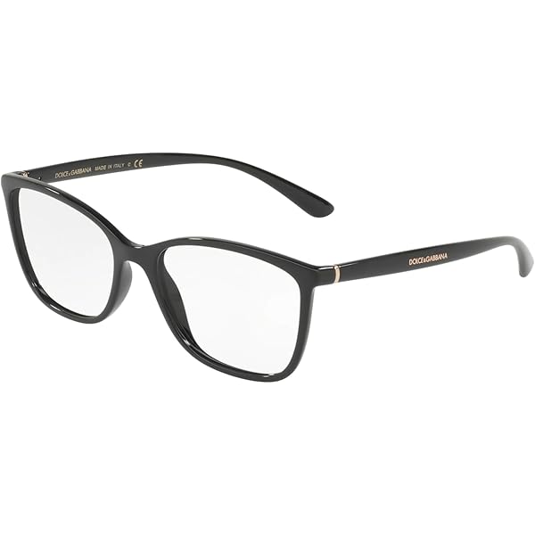 DOLCE & GABBANA スクエアフレムメカネ DG50261754 1754 Amazon.com: DOLCE & GABBANA 0DG5027 3160 Transparent Grey 55