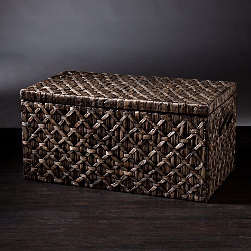 Southern Enterprises AMZ6210KC Storage Trunk, Blackwashed
