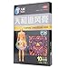 (2 Pack) Tianhe Zhuifeng Gao Pain Relieving Plaster - 10 Patches (2.75 x 4 in)