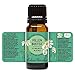 Pollen Buster OK For Kids Synergy Blend Essential Oil by Edens Garden - 5 ml (Fir Needle, Lavender, Rosalina, Geranium, Blue Tansy and Moroccan Rose)
