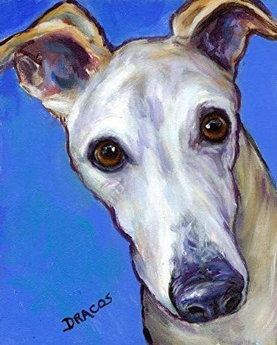 Greyhound Dog Art Print, Cream greyhound on bright blue Background, Portrait, Print of Original Dog Painting by Dottie Dracos, Print sizes from 8x10" up to 16x20".