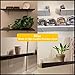 Alise 2Pcs 4mm-Thick Stainless Steel Brackets Floating Shelves Heavy Duty Shelf Bracket Corner Brace Support Wall Hanging 12X6-2/5Inch,Brushed Nickel