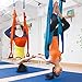 Agptek Aerial Yoga Supplies Swing Inversion Trapeze Series Yoga Class Accessories Like Yoga Straps and Sling Hammock (Blue)