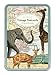 Cavallini Animals Carte Postale, 18 Postcards per Tin