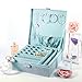 MALEDEN Jewelry Box, 2 Layers Lint Jewelry Organizer Case for Necklaces, Earrings, Bracelets and Rings Display, Large Capacity with Lock