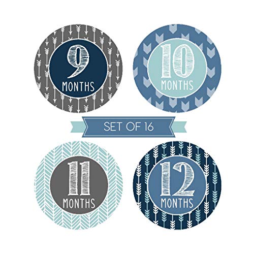 4 Milestone+Stickers+Monthly+Scrapbook+Registry