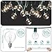 50Ft G40 Globe String Lights w/Clear Retro Edison Screw Bulbs, Connectable, Outdoor Lights for Indoor/Outdoor Commercial Decor Party Backyard Gazebo Garden Bistro Pergola Patio Market Cafe
