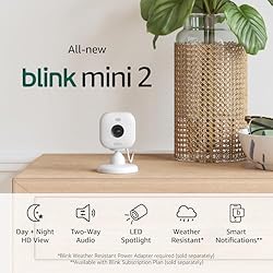 Blink Mini 2 — Home Security & Pet Camera with HD
