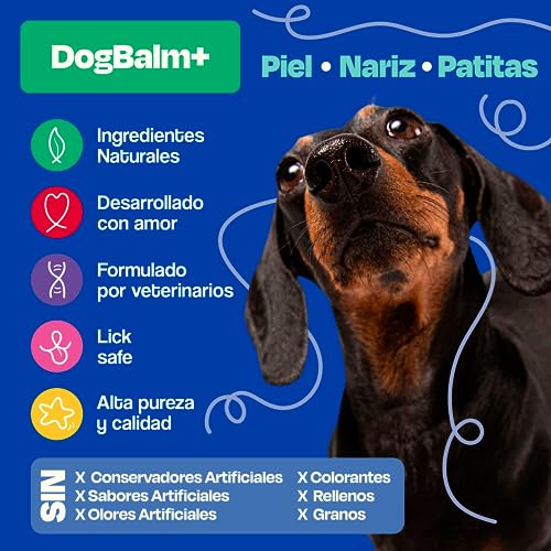 Dogelthy Dog Balm. Balsamo Hidratante para Perros. Balsamo para Perros para Mantiener la Piel, Patas y Nariz Libre de Resequedad. Pet Balm Hecho de Aceite de Coco, Almendra y más de 50g (Tarro)
