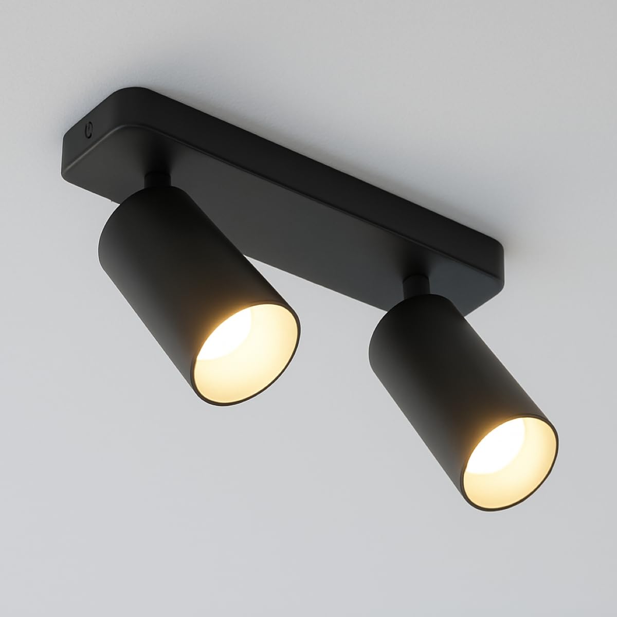 CGC Lighting Round Circular Surface Mount Spotlight Adjustable Ceiling Downlight Spot Down Light Lounge Living Room Kitchen Bedroom (Black, Double)