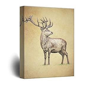 Watercolor Style Hand Drawn Deer with Antlers