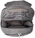Pacsafe Metrosafe LS450 25 Liter Anti Theft Laptop Backpack - with Padded 15