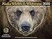 2020 Alaska Wildlife and Wilderness Wall Calendar by 