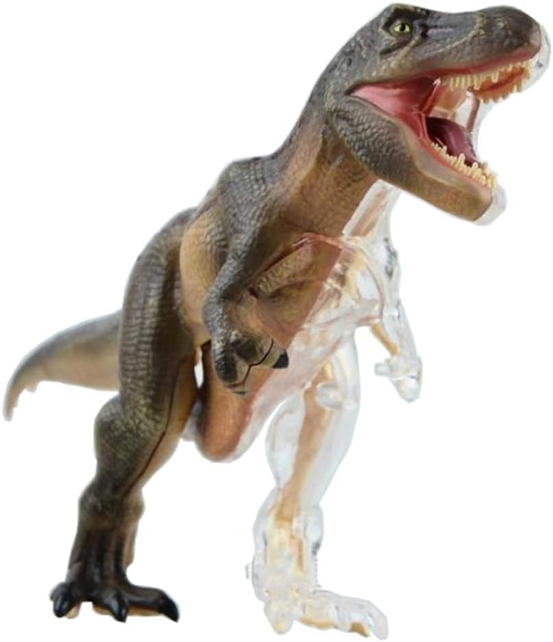 dinosaur anatomy toy