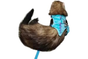 MERCRI Ferret Harness and Leash Set with Safe Bell Dinosaur Shaped Walking Clothes for Baby Rabbit Guinea Pig Teacup Chihuahua Mouse and Other Small pet. (Blue-2, Dinosaur)
