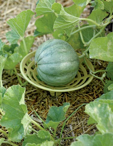 Gardener's Supply Company Melon and Squash Cradles, Set of 6