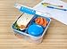 Sistema To Go Collection Bento Cube Lunch Box, Small, Clear/Blue Klips