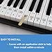 QMG Piano Keyboard Note Stickers for White Keys for Upto 88-Key Keyboards, Bright Colorful Letters, Transparent and Removable, Perfect Visual Tool for Kids and Beginners, 2 Pack