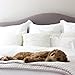 Linen Market Duvet Cover King Size - 108