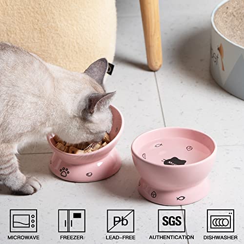SWEEJAR Raised Cat Bowls Set, Tilted Food Bowl and Deep Water Bowl