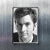 Seasons David Tennant - Original Art Fridge Magnet